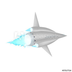 Space ship isolated