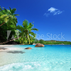beach at Praslin island, Seychelles