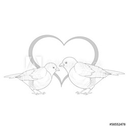 A monochrome sketch of a couple of birds with a heart
