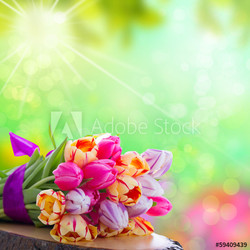 fresh spring flowers