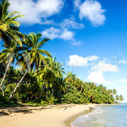 lonely caribbean beach
