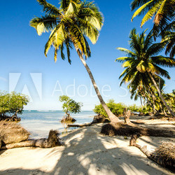 Karibik pur: karibischer Traumstrand