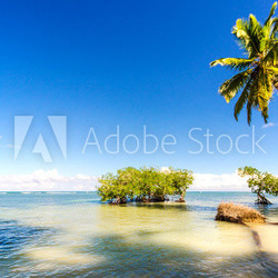 Einsamer karibischer Traumstrand  :)