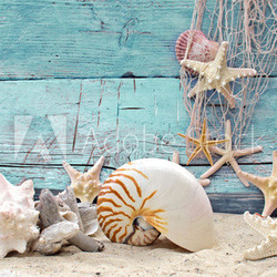 Auszeit: Urlaub am Meer :)