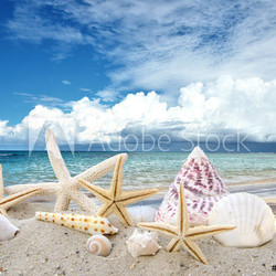 Karibischer Urlaub :)