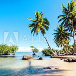 Caribbean: lonely beach :)