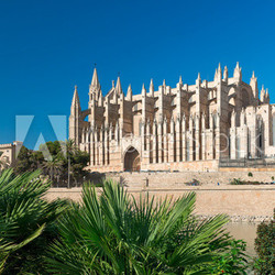 Kathedrale "La Seu" in Palma de Mallorca - 7954