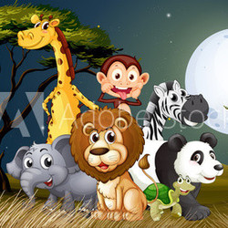 A group of playful animals under the bright fullmoon
