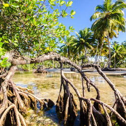 Caribbean: Lonely beach :)