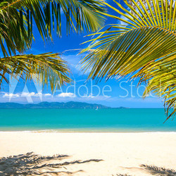 Einsamer Karibischer Traumstrand :)