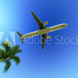 Airplane over the palm tree