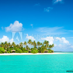 tropical island beach with palm trees and cloudy blue sky