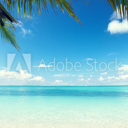 Caribbean sea and coconut palms