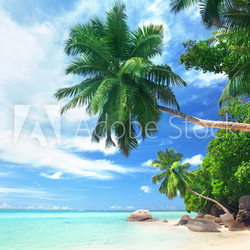 beach on Mahe island, Seychelles