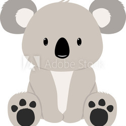Koala Bear