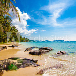 beautiful beach and tropical sea