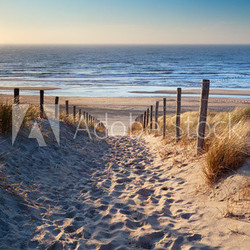 path to North sea beach in gold sunshine