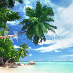 beach on Mahe island, Seychelles