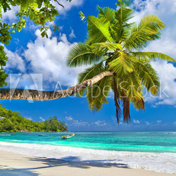 idyllic tropical scenery - Seychelles