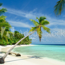 einsamer Strand mit Palmen