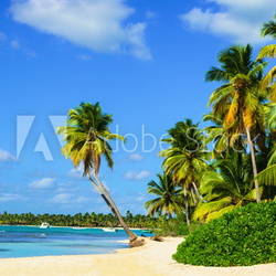 Paradise beach with palm trees on white sand
