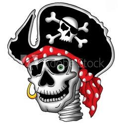 Pirate skull in hat