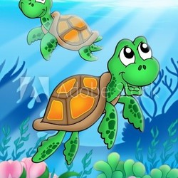 Little sea turtles
