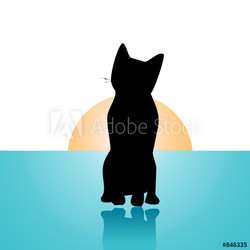 cat standing on a blue floor