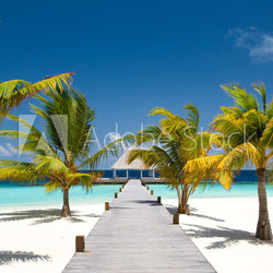 Maldivian Ocean Flair